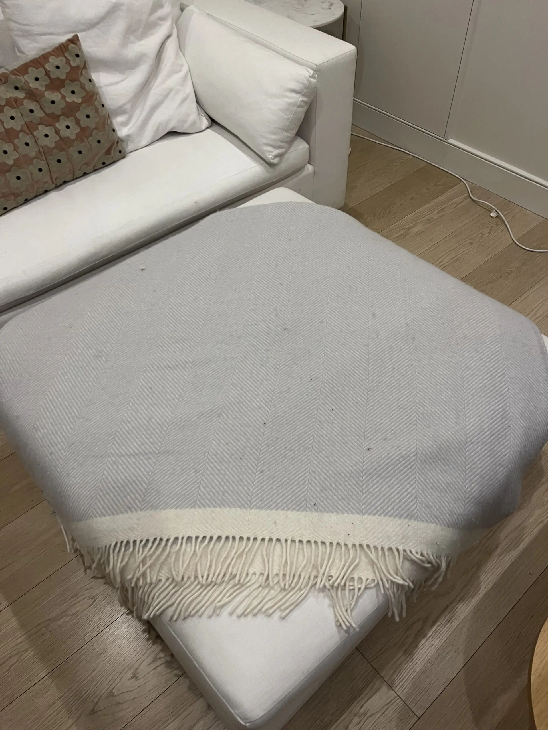 West Elm Harmony Sofa and ottoman