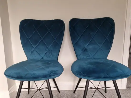 Dwell brushed velvet chairs