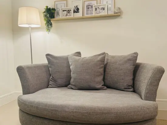 Dfs Lorella cushion back cuddler