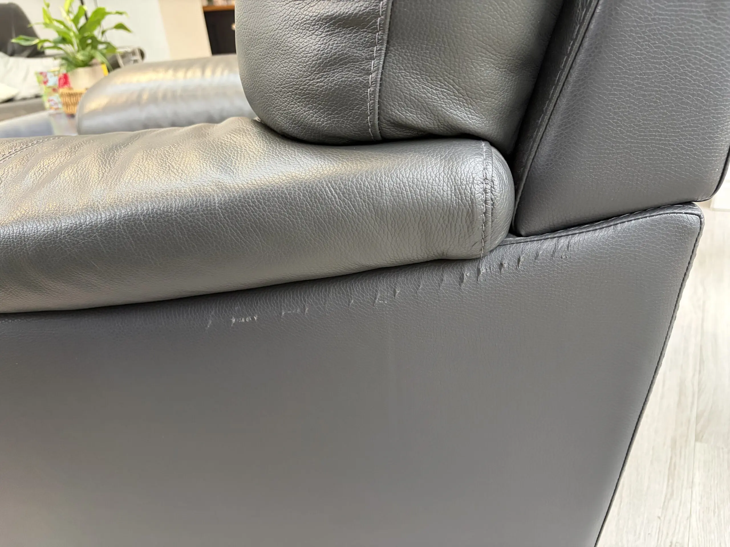 DFS Grey Leather Chairs