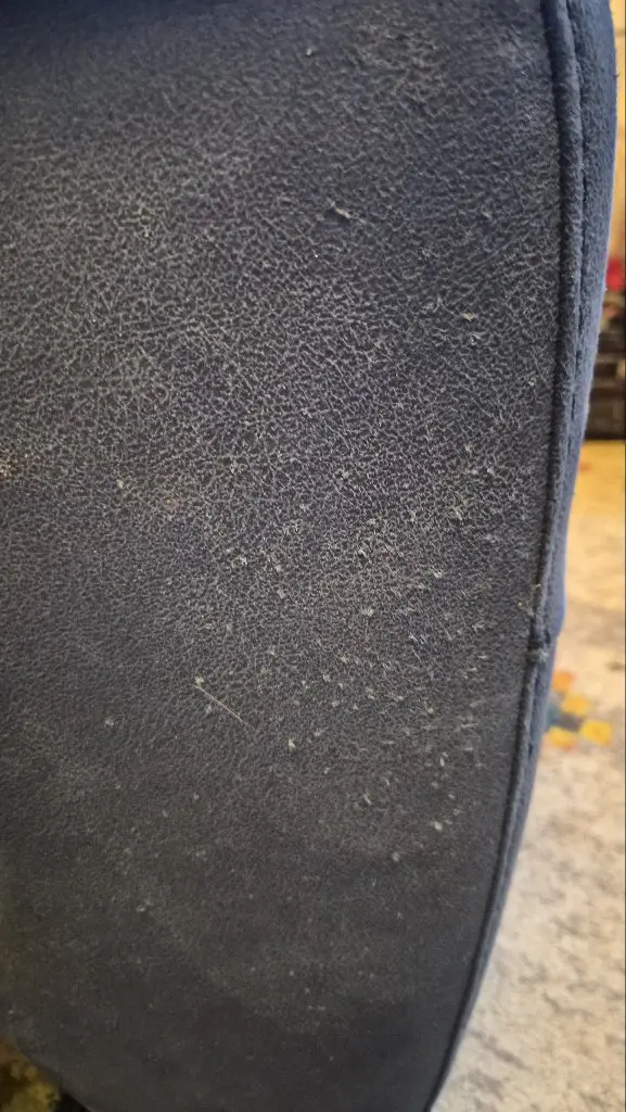 DFS "Ronan" Power Recliner 3-seater and armchair