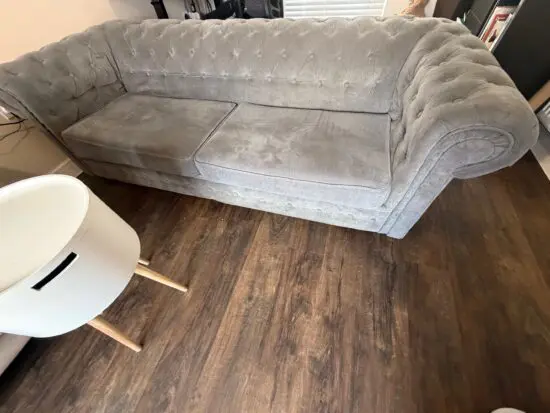 Wayfair + Grey + Allegra 2 Seater Chesterfield Sofa Bed + Sofa