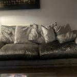 DFS plush velvet 4-seater and cuddle chair