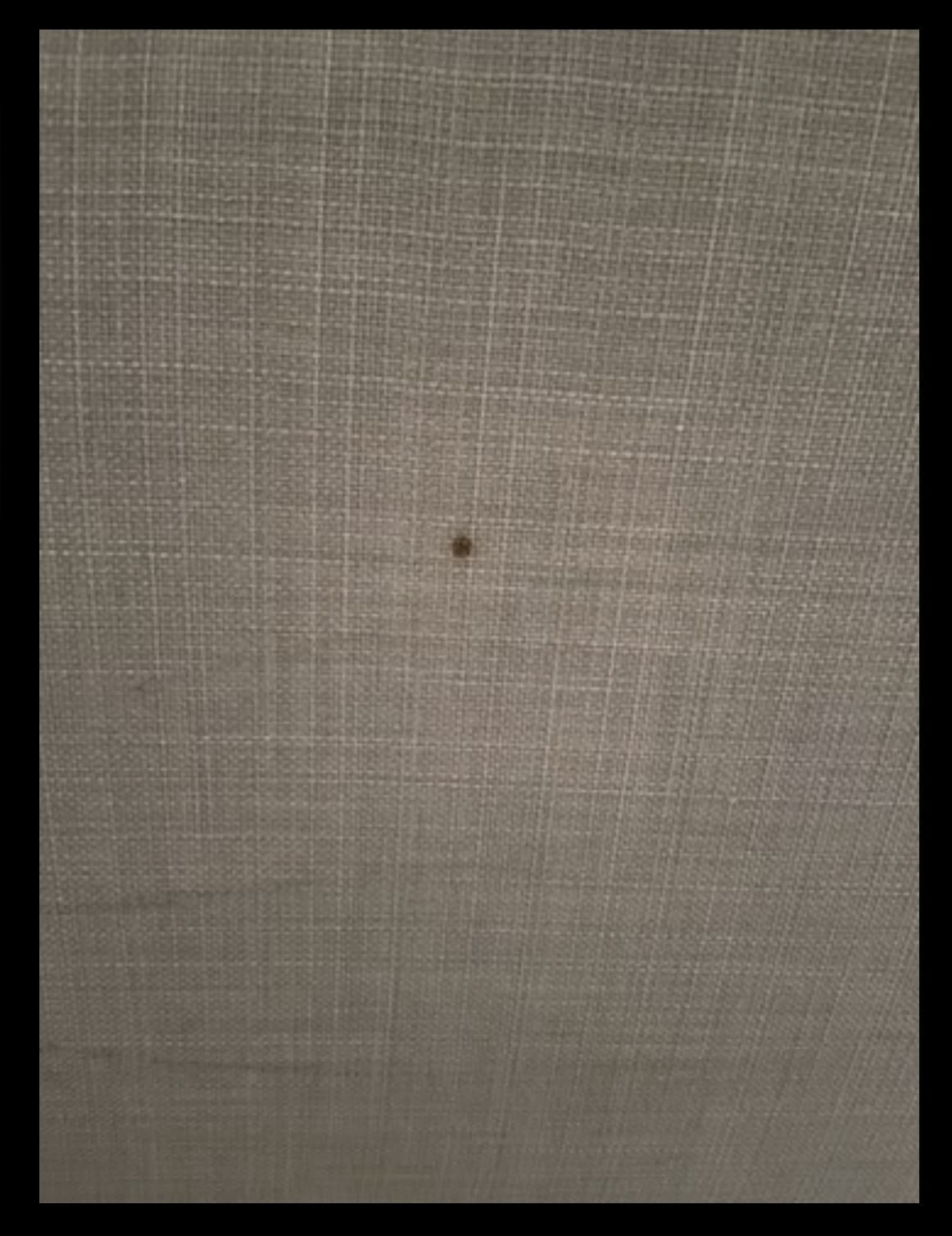 IKEA Strandmon Wing Armchair, Grey Sofalistic The Sofa Marketplace