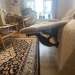Oak furniture , light brown as shown in the photos