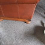 German sofa