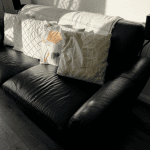 2 black leather sofas with silver feet from DFS