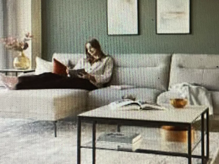 Danetti Leather brooks sofa
