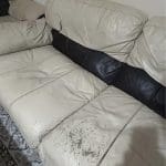 DFS Leather Sofas